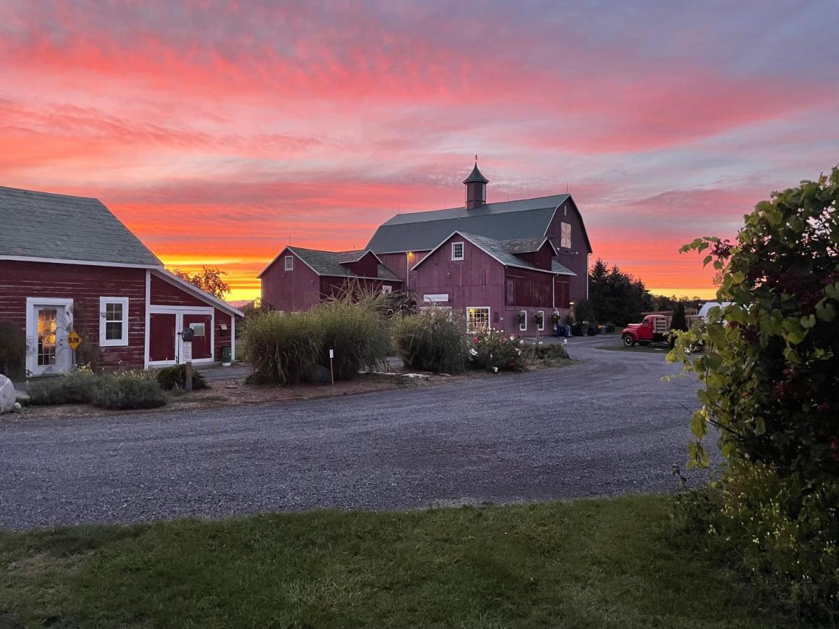 The Eddie Hotel And Farm Bloomfield Exterior foto
